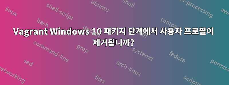 Vagrant Windows 10 패키지 단계에서 사용자 프로필이 제거됩니까?