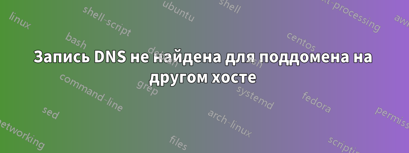 Запись DNS не найдена для поддомена на другом хосте