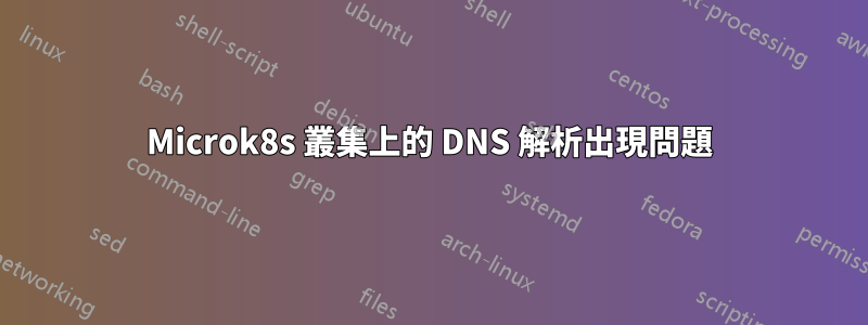 Microk8s 叢集上的 DNS 解析出現問題