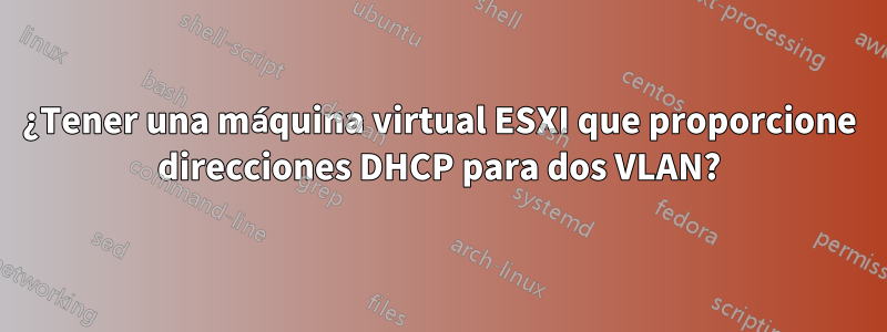 ¿Tener una máquina virtual ESXI que proporcione direcciones DHCP para dos VLAN?