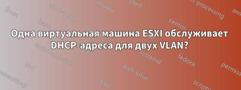 Одна виртуальная машина ESXI обслуживает DHCP-адреса для двух VLAN?