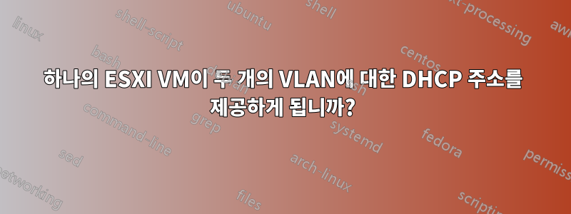 하나의 ESXI VM이 두 개의 VLAN에 대한 DHCP 주소를 제공하게 됩니까?