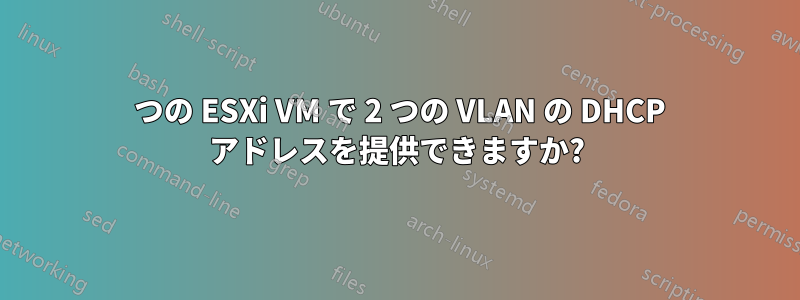 1 つの ESXi VM で 2 つの VLAN の DHCP アドレスを提供できますか?