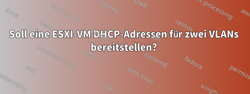 Soll eine ESXI-VM DHCP-Adressen für zwei VLANs bereitstellen?