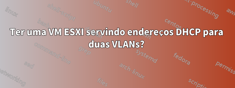 Ter uma VM ESXI servindo endereços DHCP para duas VLANs?