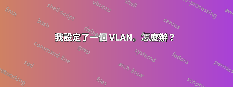 我設定了一個 VLAN。怎麼辦？