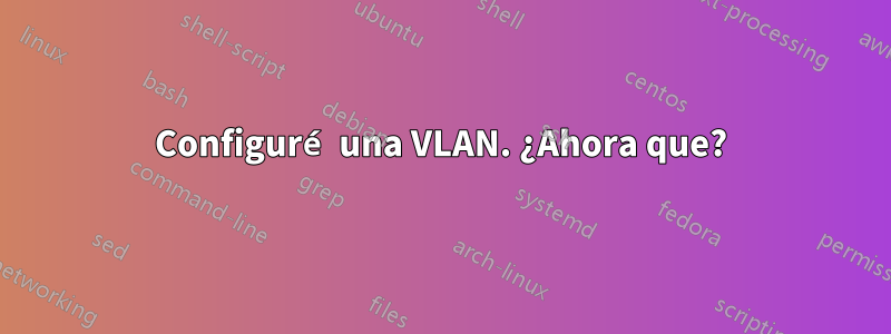 Configuré una VLAN. ¿Ahora que?