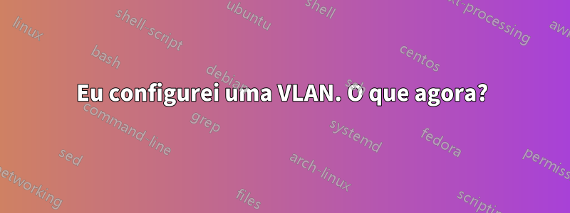 Eu configurei uma VLAN. O que agora?