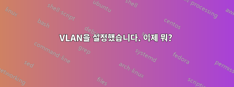 VLAN을 설정했습니다. 이제 뭐?