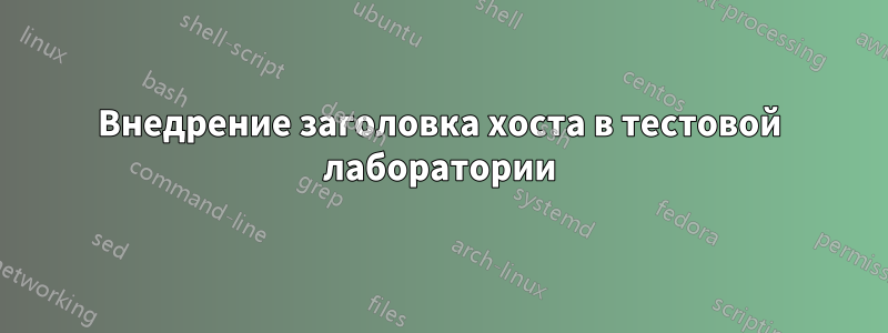 Внедрение заголовка хоста в тестовой лаборатории