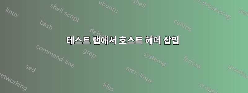 테스트 랩에서 호스트 헤더 삽입