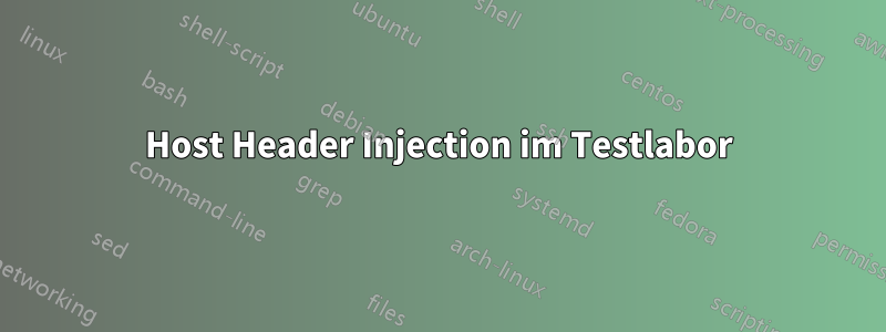 Host Header Injection im Testlabor
