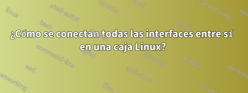 ¿Cómo se conectan todas las interfaces entre sí en una caja Linux?