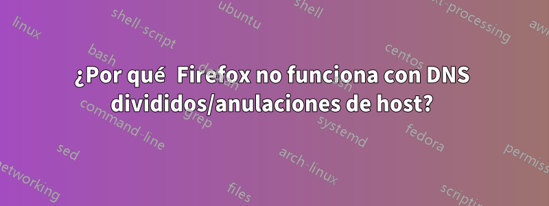 ¿Por qué Firefox no funciona con DNS divididos/anulaciones de host?