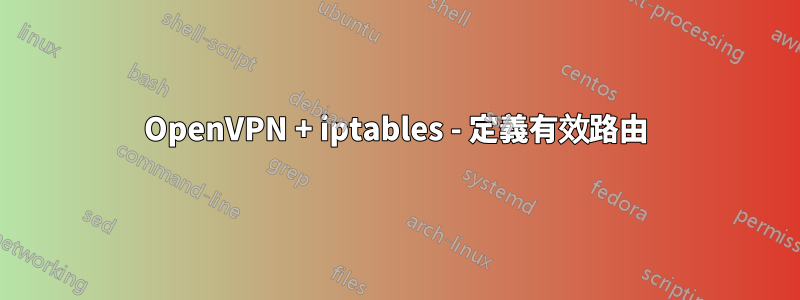 OpenVPN + iptables - 定義有效路由