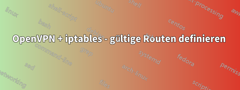 OpenVPN + iptables - gültige Routen definieren