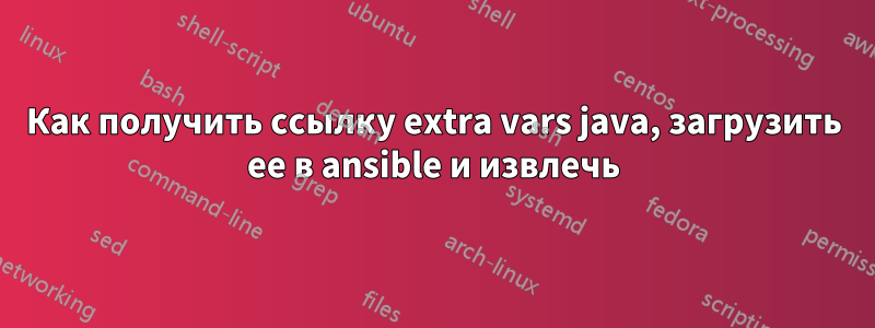 Как получить ссылку extra vars java, загрузить ее в ansible и извлечь