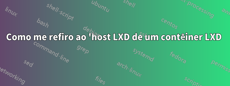 Como me refiro ao 'host LXD de um contêiner LXD