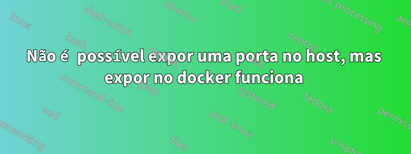 Não é possível expor uma porta no host, mas expor no docker funciona