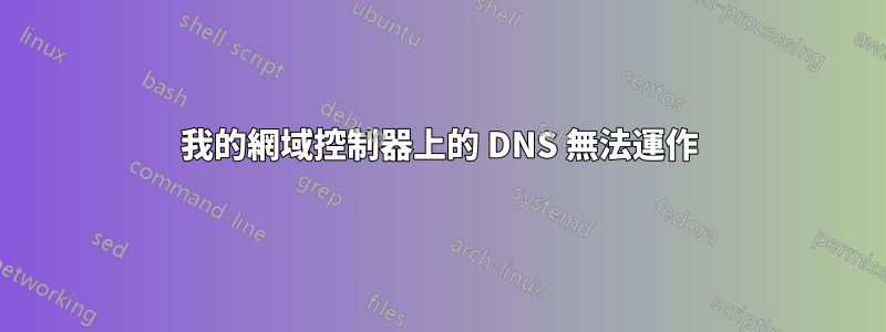 我的網域控制器上的 DNS 無法運作