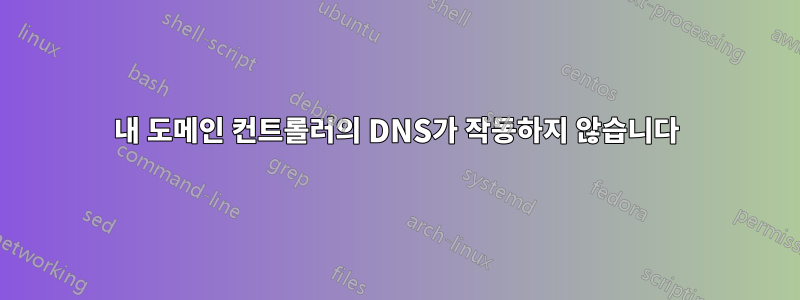 내 도메인 컨트롤러의 DNS가 작동하지 않습니다