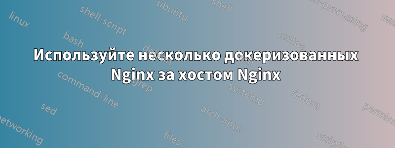 Используйте несколько докеризованных Nginx за хостом Nginx