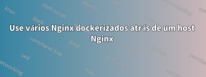 Use vários Nginx dockerizados atrás de um host Nginx