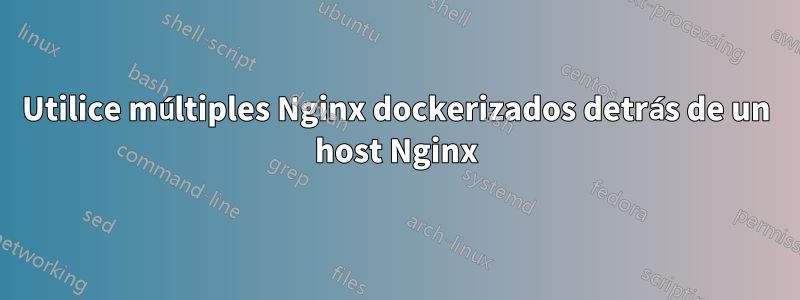 Utilice múltiples Nginx dockerizados detrás de un host Nginx