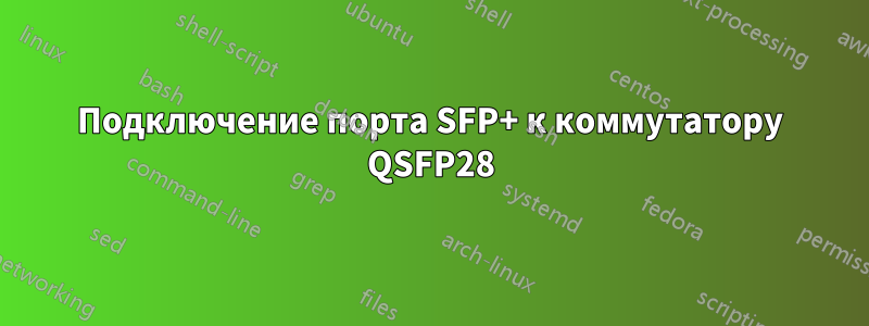 Подключение порта SFP+ к коммутатору QSFP28
