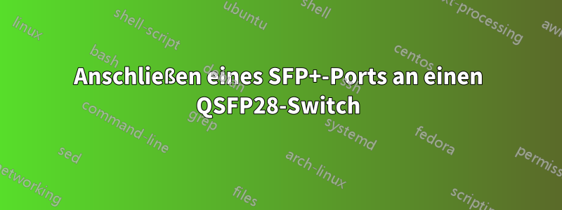 Anschließen eines SFP+-Ports an einen QSFP28-Switch