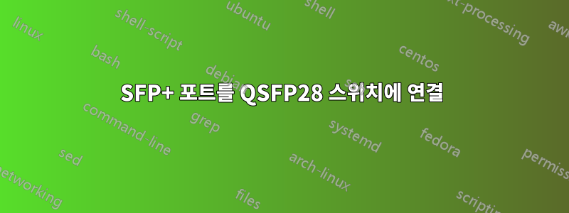 SFP+ 포트를 QSFP28 스위치에 연결