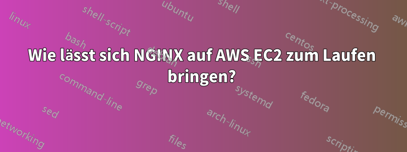 Wie lässt sich NGINX auf AWS EC2 zum Laufen bringen?