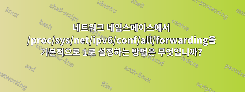 네트워크 네임스페이스에서 /proc/sys/net/ipv6/conf/all/forwarding을 기본적으로 1로 설정하는 방법은 무엇입니까?