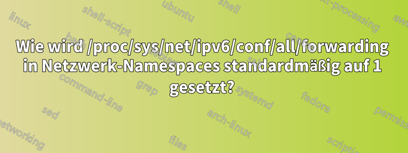 Wie wird /proc/sys/net/ipv6/conf/all/forwarding in Netzwerk-Namespaces standardmäßig auf 1 gesetzt?