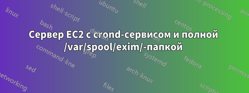 Сервер EC2 с crond-сервисом и полной /var/spool/exim/-папкой