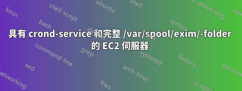 具有 crond-service 和完整 /var/spool/exim/-folder 的 EC2 伺服器
