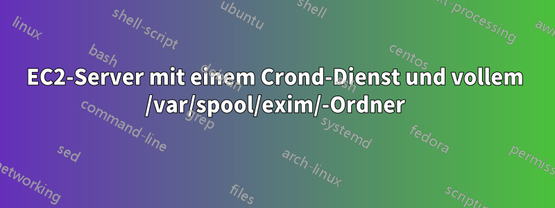 EC2-Server mit einem Crond-Dienst und vollem /var/spool/exim/-Ordner
