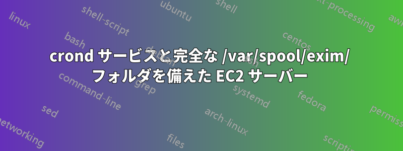 crond サービスと完全な /var/spool/exim/ フォルダを備えた EC2 サーバー