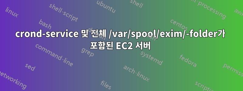 crond-service 및 전체 /var/spool/exim/-folder가 포함된 EC2 서버