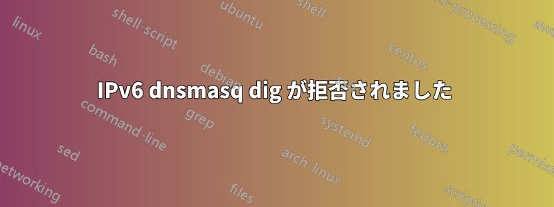 IPv6 dnsmasq dig が拒否されました