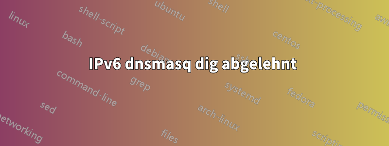 IPv6 dnsmasq dig abgelehnt