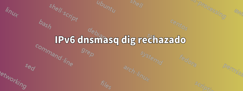 IPv6 dnsmasq dig rechazado