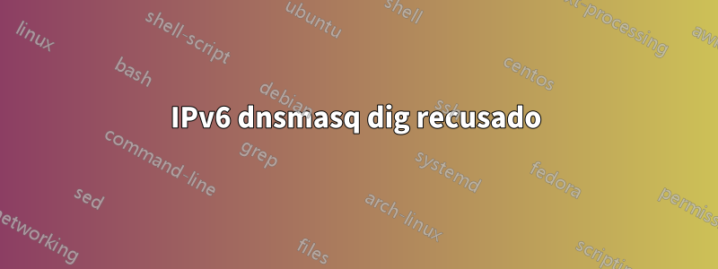 IPv6 dnsmasq dig recusado