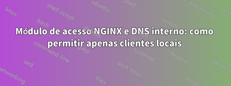 Módulo de acesso NGINX e DNS interno: como permitir apenas clientes locais