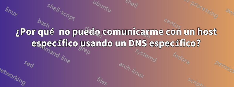 ¿Por qué no puedo comunicarme con un host específico usando un DNS específico?