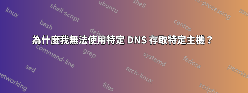 為什麼我無法使用特定 DNS 存取特定主機？