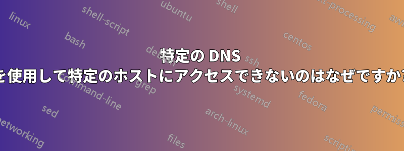 特定の DNS を使用して特定のホストにアクセスできないのはなぜですか?