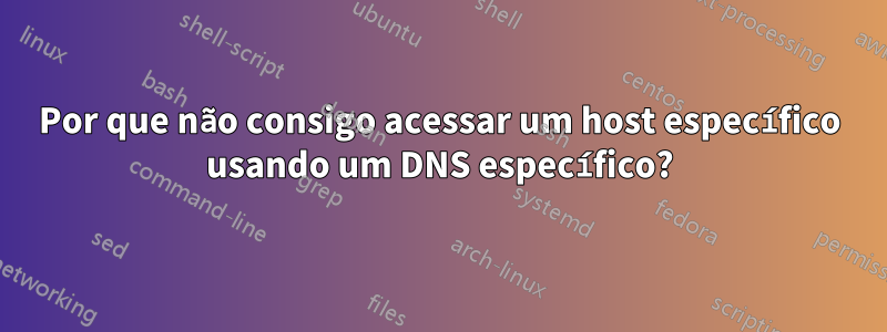 Por que não consigo acessar um host específico usando um DNS específico?