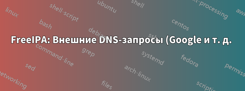 FreeIPA: Внешние DNS-запросы (Google и т. д.) не выполняются для клиентов в новой подсети