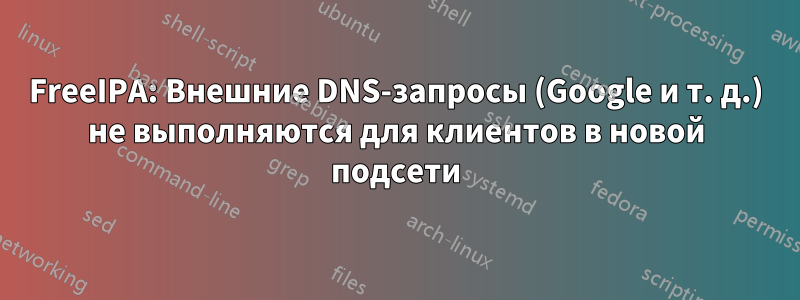 FreeIPA: Внешние DNS-запросы (Google и т. д.) не выполняются для клиентов в новой подсети